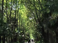 -同里国家湿地公园