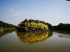 -大湾区中央湿地公园