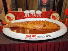 -阿五黄河大鲤鱼(纬三路店)