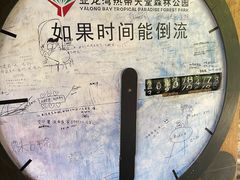 -亚龙湾热带天堂森林公园