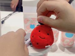 -兰熊鲜奶(西直门凯德mall店)