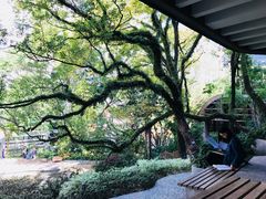 -香港大学