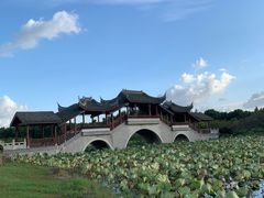 -上海海湾国家森林公园