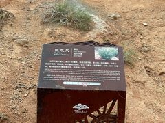 -新疆天山托木尔景区·大峡谷