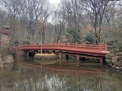 -紫霞湖公园