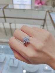 -钻石小鸟钻戒婚戒定制(石路店)