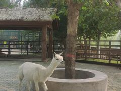 -北戴河集发农业梦想王国