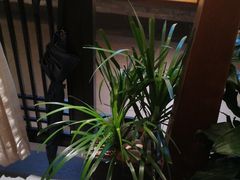 -瑶王府·广西菜(金阳路店)