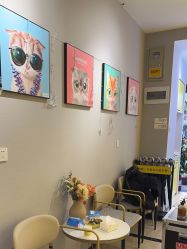 -洗脸猫·洗脸吧