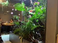 -森味薪火烧•烧鸟居酒屋•日本料理(望京店)