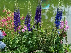 -人民公园(罗湖区)