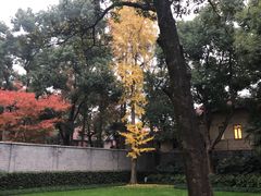 -上海孙中山故居纪念馆