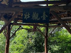 -青城山