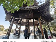 -杭州半山国家森林公园