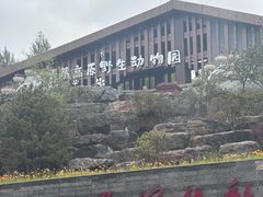 -青藏高原野生动物园