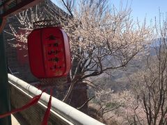-妙峰山风景名胜区