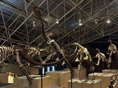 -世界恐龙谷景区