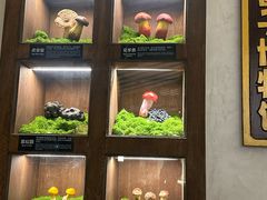 -菌自由丨野生菌火锅特色庭院餐厅(丽江古城店)