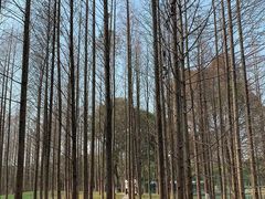 -新洲生态园