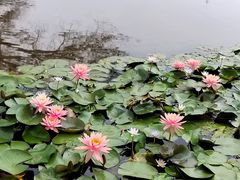 -秦和居(大唐时代店)