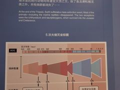 -贵州省博物馆(新馆)