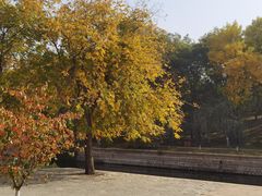 -元大都城垣遗址公园