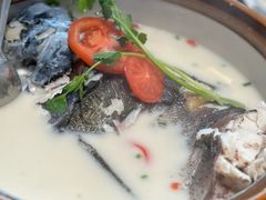 -全乐鱼馆·淳牌有机鱼直营店