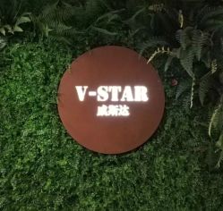 门面-V-STAR威斯达•高级私人定制
