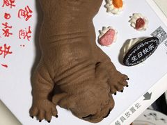 -维尔纳斯·生日蛋糕动物奶油冰淇淋蛋糕(人大店)