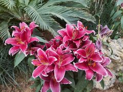 -郑州中国绿化博览园