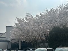 -苏州独墅湖世尊酒店