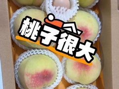 -老袁家蜜桃农场·阳山水蜜桃