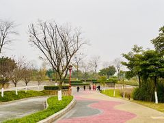 -眉山湿地公园(东坡区)