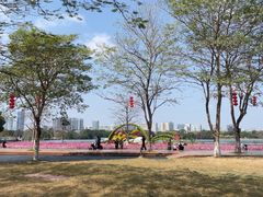 -海珠湖公园