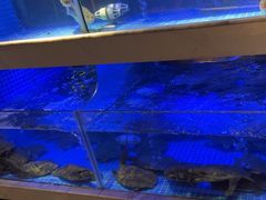 -王捌小院(红花坡店)