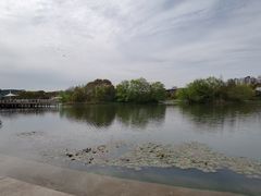 -新江湾城公园