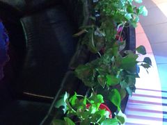 -肉串汪(望京店)