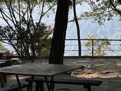 -铁山坪森林公园