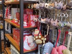 -猫咪博物馆(顶澳仔猫街店)