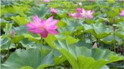 -Oasis Beauty水磨坊科技美肤中心