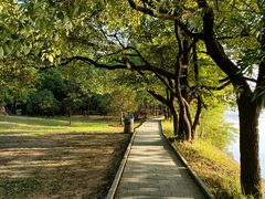 -东湖落雁景区