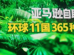 -亚马逊海鲜自助(梅溪湖步步高店)