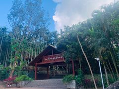 -七仙岭温泉国家森林公园