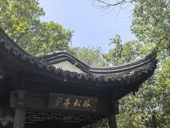 -上海佘山国家森林公园天马山园