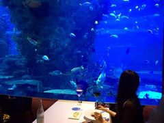-迪拜帆船酒店海底餐厅