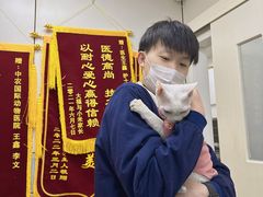 -中农国际动物医院24小时·猫科·骨科·急重症中心