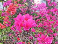 -泉州迎宾馆