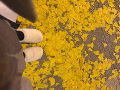 -红实家常菜(静安里店)