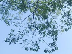 -上海市中医文献馆