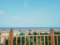 -日照海滨国家森林公园